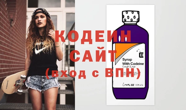 шишки Гусь-Хрустальный