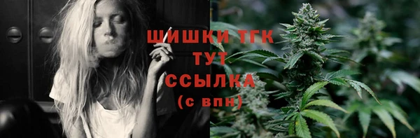 не бодяженный Гусев