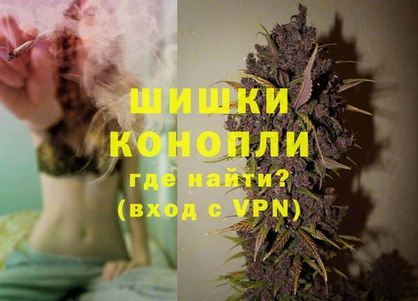 крисы Гусиноозёрск