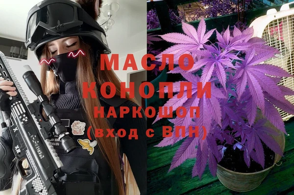 шишки Гусь-Хрустальный
