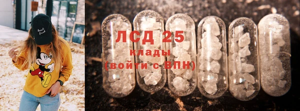 шишки Гусь-Хрустальный