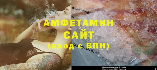 шишки Гусь-Хрустальный