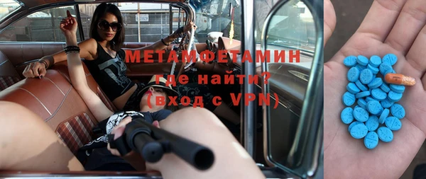 шишки Гусь-Хрустальный