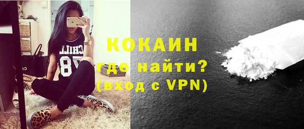 шишки Гусь-Хрустальный