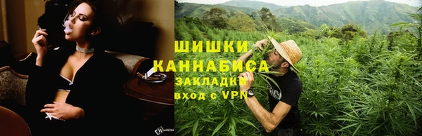 шишки Гусь-Хрустальный