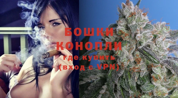 шишки Гусь-Хрустальный