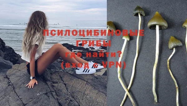 шишки Гусь-Хрустальный