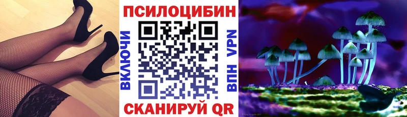 Псилоцибиновые грибы мухоморы  купить наркотики цена  Дальнереченск 